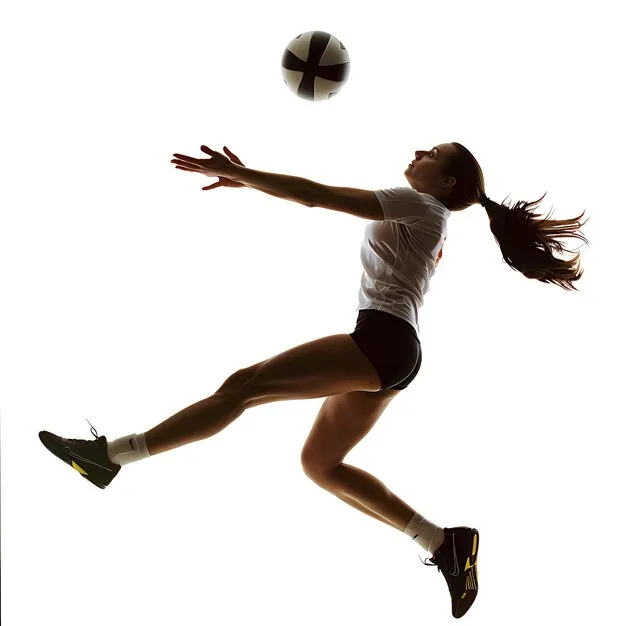 FB体育移动端APP展示